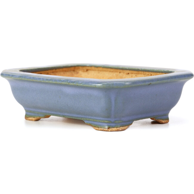Rechteckige blaue Bonsaischale von Hattori - 137 x 99 x 38 mm
