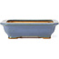 Rectangular blue bonsai pot by Hattori - 137 x 99 x 38 mm