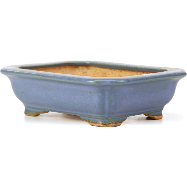 Pot à bonsaï rectangulaire bleu par Hattori - 137 x 99 x 38 mm