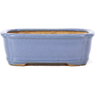  Hattori Tomoyuki 126 mm rectangular blue bonsai pot by Hattori, Tokoname, Japan