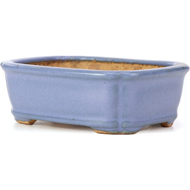 Pot à bonsaï rectangulaire bleu par Hattori - 126 x 95 x 40 mm