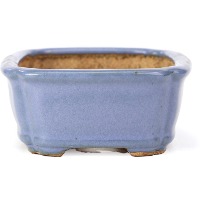 Pot à bonsaï rectangulaire bleu par Hattori - 126 x 95 x 40 mm