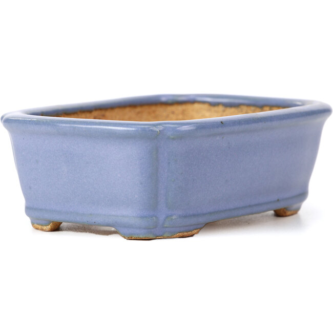 Pot à bonsaï rectangulaire bleu par Hattori - 126 x 95 x 40 mm