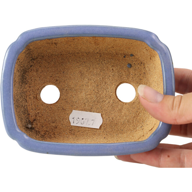 Pot à bonsaï rectangulaire bleu par Hattori - 126 x 95 x 40 mm