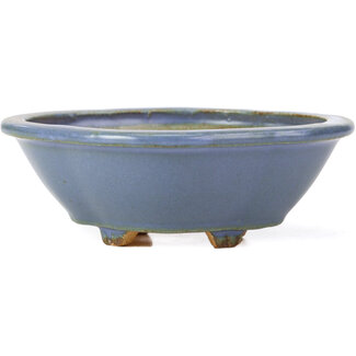  Hattori Tomoyuki 134 mm mokko blue bonsai pot by Hattori, Tokoname, Japan