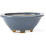 Mokko blue bonsai pot by Hattori - 134 x 115 x 52 mm