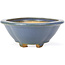 Mokko blue bonsai pot by Hattori - 134 x 115 x 52 mm