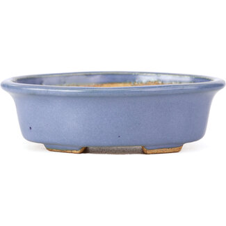  Hattori Tomoyuki 128 mm mokko blue bonsai pot by Hattori, Tokoname, Japan