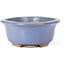 Mokko blue bonsai pot by Hattori - 128 x 95 x 42 mm