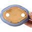 Maceta de bonsái azul Mokko de Hattori - 128 x 95 x 42 mm