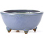 Round blue bonsai pot by Hattori - 115 x 115 x 55 mm