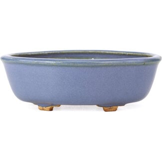  Hattori Tomoyuki 130 mm mokko blue bonsai pot by Hattori, Tokoname, Japan