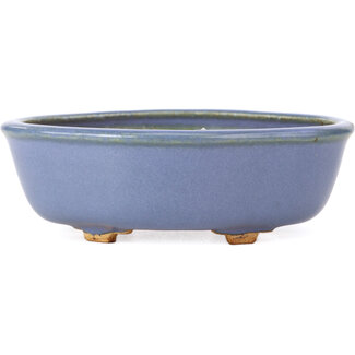  Hattori Tomoyuki Pot à bonsaï bleu mokko 130 mm par Hattori, Tokoname, Japon