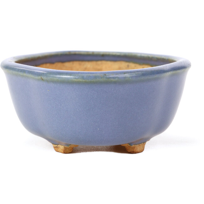 Mokko blue bonsai pot by Hattori - 130 x 95 x 45 mm
