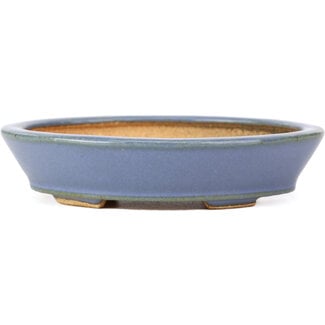  Hattori Tomoyuki 133 mm oval blue bonsai pot by Hattori, Tokoname, Japan