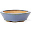 Oval blue bonsai pot by Hattori - 133 x 103 x 32 mm