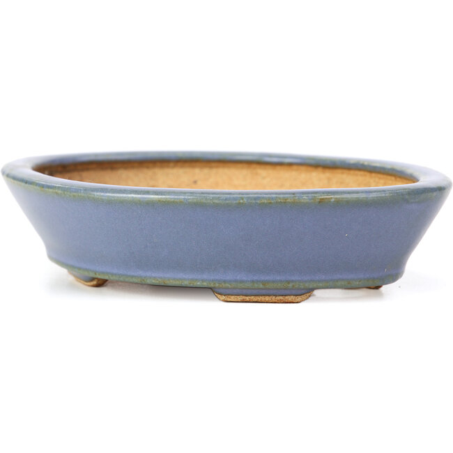 Maceta de bonsái azul ovalada de Hattori - 133 x 103 x 32 mm