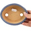 Pot à bonsaï ovale bleu par Hattori - 133 x 103 x 32 mm