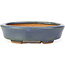 Oval blue bonsai pot by Hattori - 108 x 91 x 31 mm