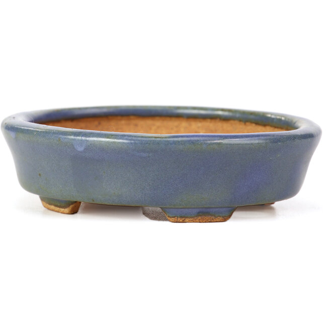 Pot à bonsaï ovale bleu par Hattori - 108 x 91 x 31 mm