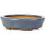 Oval blue bonsai pot by Hattori - 108 x 91 x 31 mm