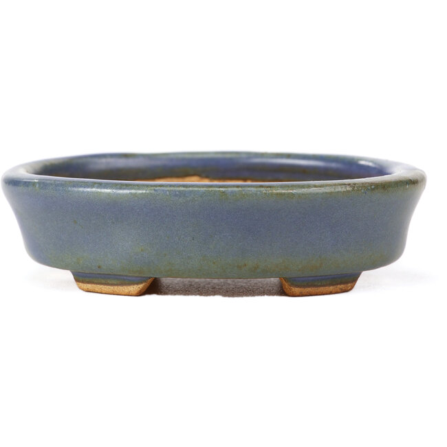 Ovale blaue Bonsaischale von Hattori - 108 x 91 x 31 mm