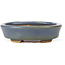 Oval blue bonsai pot by Hattori - 108 x 91 x 31 mm