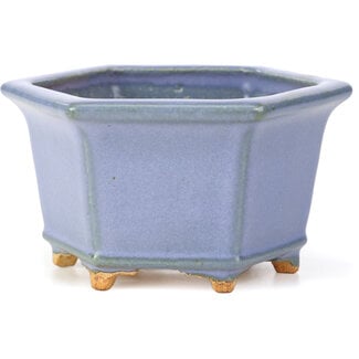 Hattori Tomoyuki 128 mm hexagonal blue bonsai pot by Hattori, Tokoname, Japan