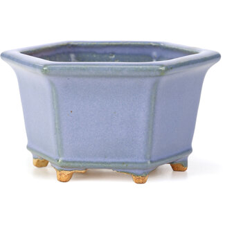  Hattori Tomoyuki Maceta de bonsái azul hexagonal de 128 mm de Hattori, Tokoname, Japón