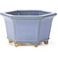 Maceta de bonsái azul hexagonal de Hattori - 128 x 113 x 72 mm