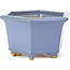 Maceta de bonsái azul hexagonal de Hattori - 128 x 113 x 72 mm