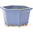 Maceta de bonsái azul hexagonal de Hattori - 128 x 113 x 72 mm