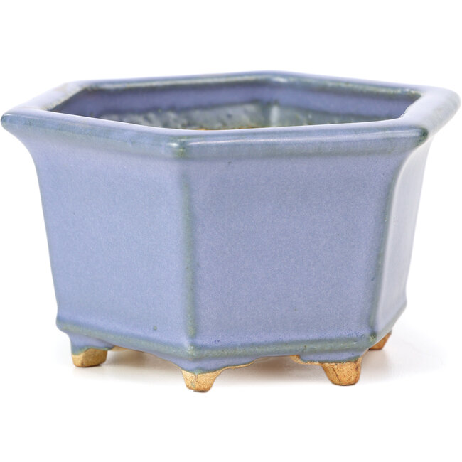 Sechseckige blaue Bonsaischale von Hattori - 128 x 113 x 72 mm
