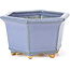Maceta de bonsái azul hexagonal de Hattori - 128 x 113 x 72 mm