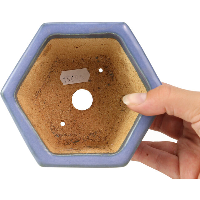 Maceta de bonsái azul hexagonal de Hattori - 128 x 113 x 72 mm