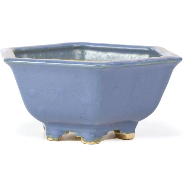 Vaso per bonsai esagonale blu di Hattori - 155 x 140 x 70 mm