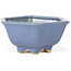 Hexagonal blue bonsai pot by Hattori - 155 x 140 x 70 mm