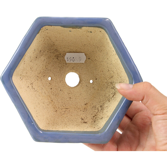 Pot à bonsaï hexagonal bleu par Hattori - 155 x 140 x 70 mm