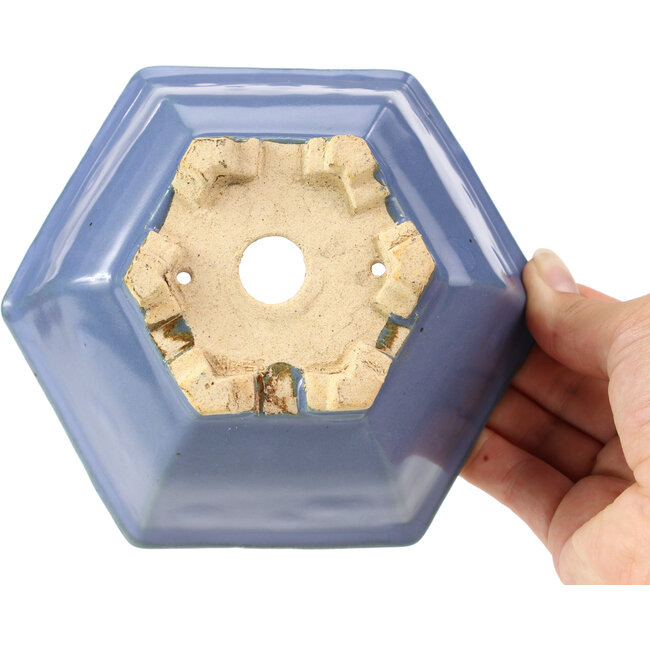 Pot à bonsaï hexagonal bleu par Hattori - 155 x 140 x 70 mm
