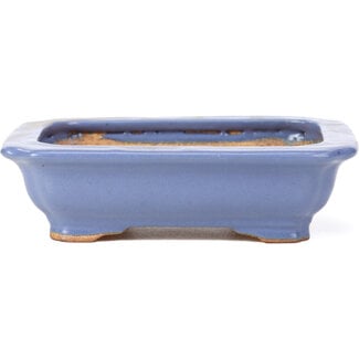  Hattori Tomoyuki 140 mm rectangular blue bonsai pot by Hattori, Tokoname, Japan