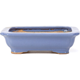 Hattori Tomoyuki 140 mm rectangular blue bonsai pot by Hattori, Tokoname, Japan