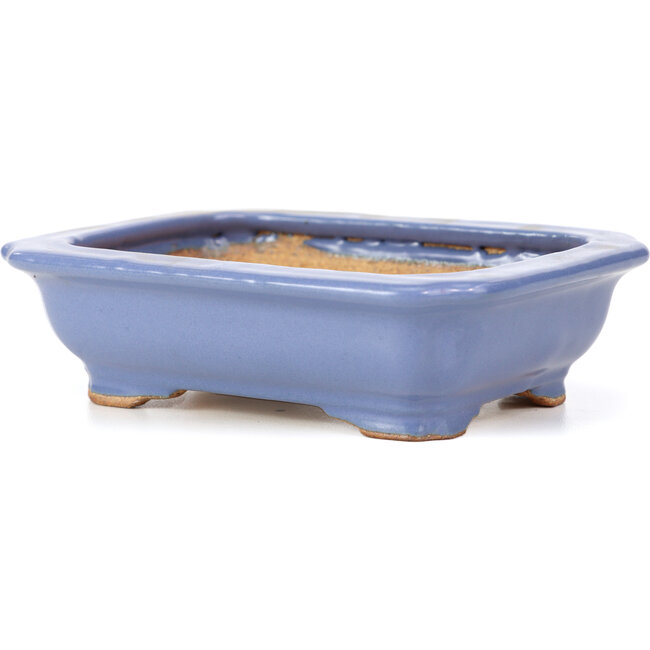 Pot à bonsaï rectangulaire bleu par Hattori - 140 x 105 x 38 mm