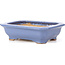 Maceta de bonsái rectangular azul de Hattori - 140 x 105 x 38 mm