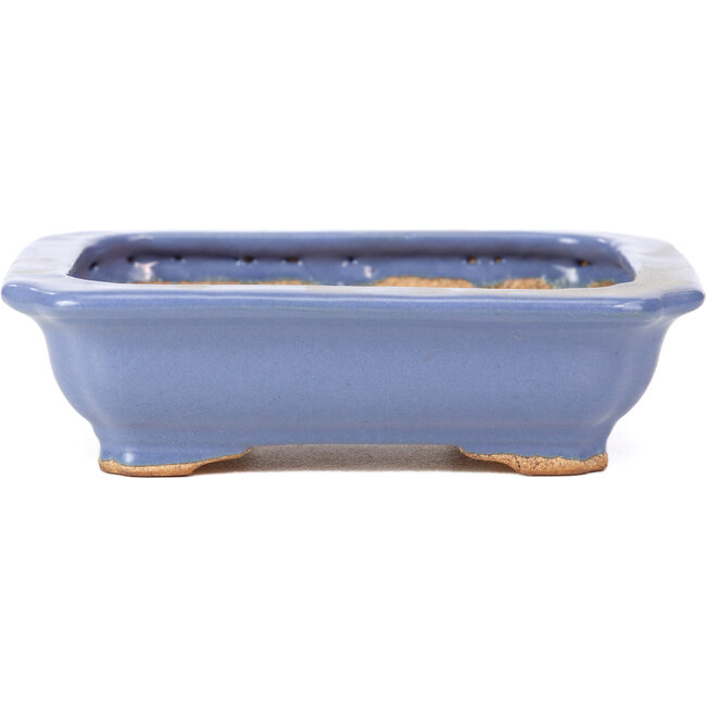 Pot à bonsaï rectangulaire bleu par Hattori - 140 x 105 x 38 mm