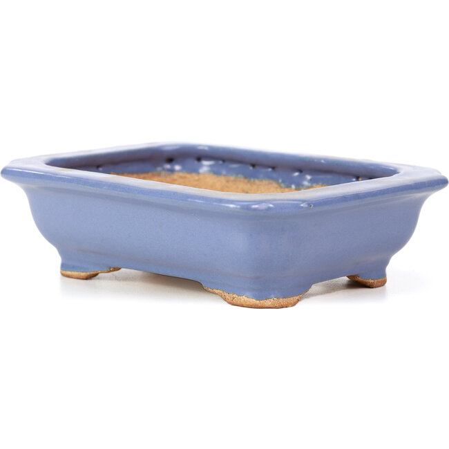 Rechteckige blaue Bonsaischale von Hattori - 140 x 105 x 38 mm
