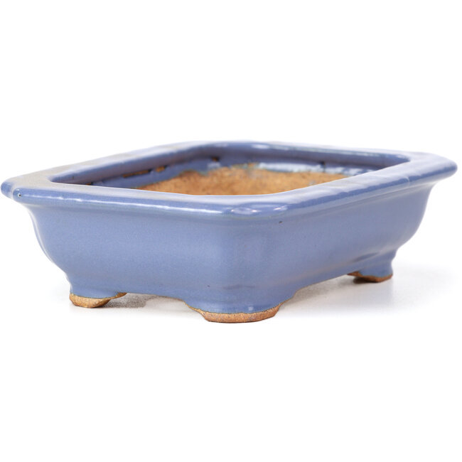 Pot à bonsaï rectangulaire bleu par Hattori - 140 x 105 x 38 mm