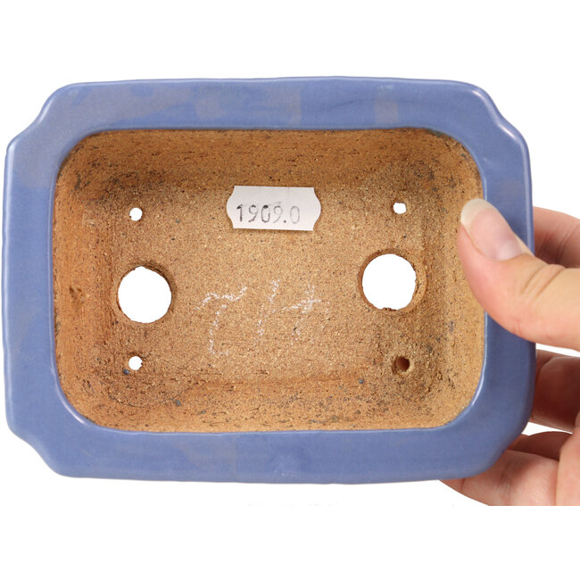 Vaso bonsai rettangolare blu di Hattori - 140 x 105 x 38 mm