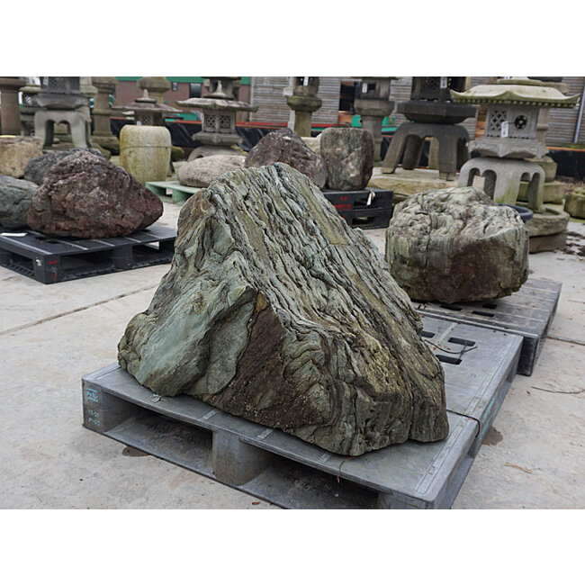 Piedra Shikoku, roca ornamental japonesa