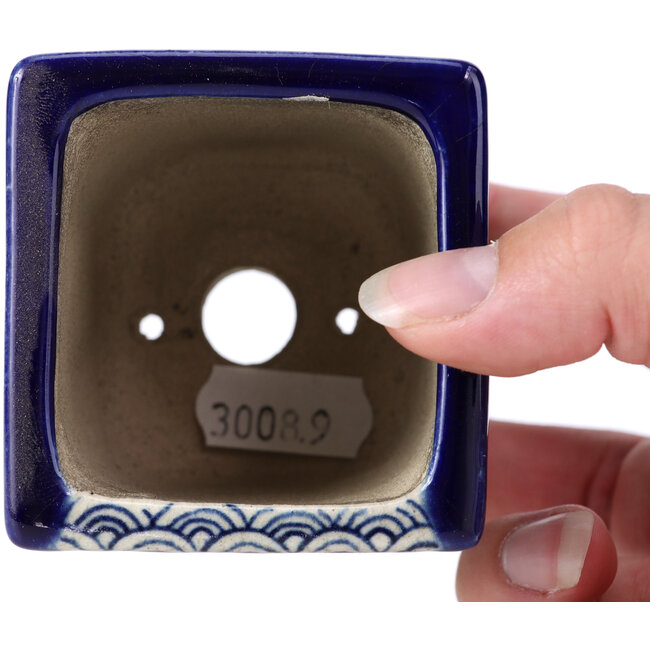 Maceta de bonsái cuadrada azul de Terahata Satomi Mazan - 65 x 65 x 70 mm