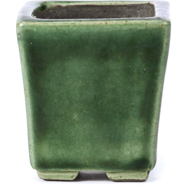 Maceta de bonsái verde cuadrada de Terahata Satomi Mazan - 65 x 65 x 70 mm